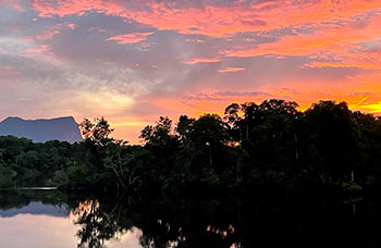 Private Tour - From The Orinoco to The Amazon